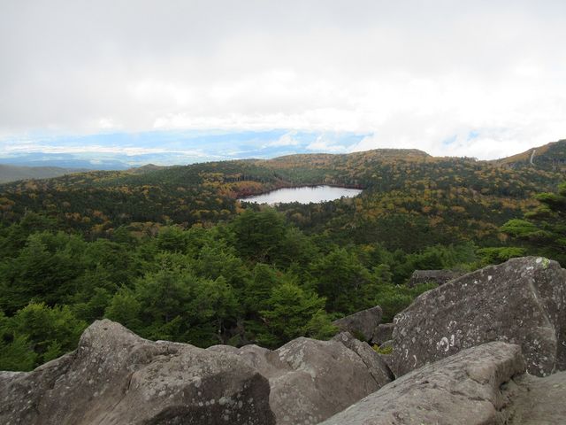 景石（八ヶ岳） 庭石・景石シリーズvol.2（ゲオム・ジュラ／チャート・ボルダー/ニュー