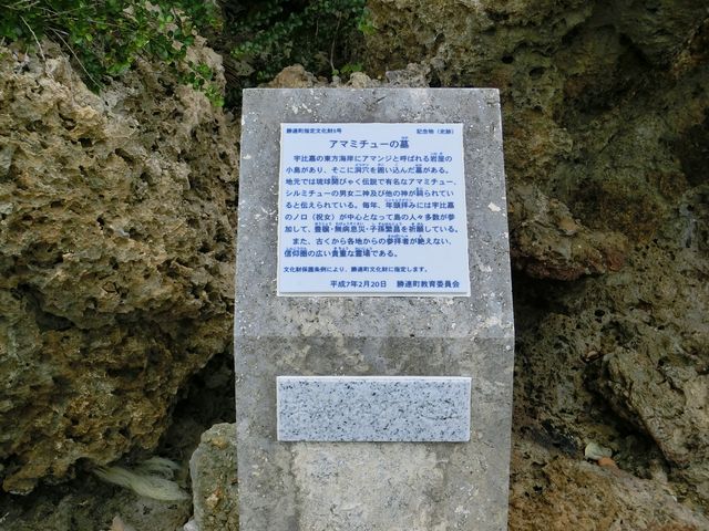 �^�b�N����̃A�}�~�`���[�̓��e�ʐ^3