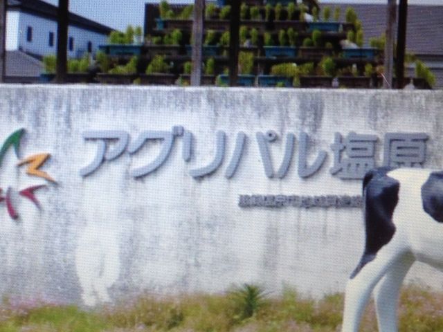 ���̉w_���̉w ���̍������΂�