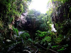 ڂԂ̃KK[̒Jւ̓eʐ^1