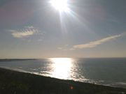 �L���^�J����̕l�ٌ����̓��e�ʐ^1