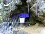 �^�b�N����̃V���~�`���[�̓��e�ʐ^2