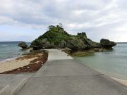 �^�b�N����̃A�}�~�`���[�̓��e�ʐ^1