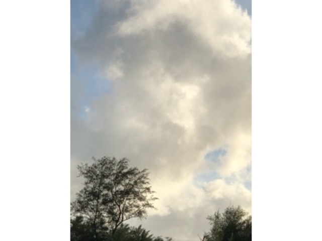 �[�Ă�_�����_��