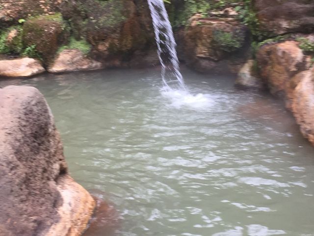 ����_���͉���
