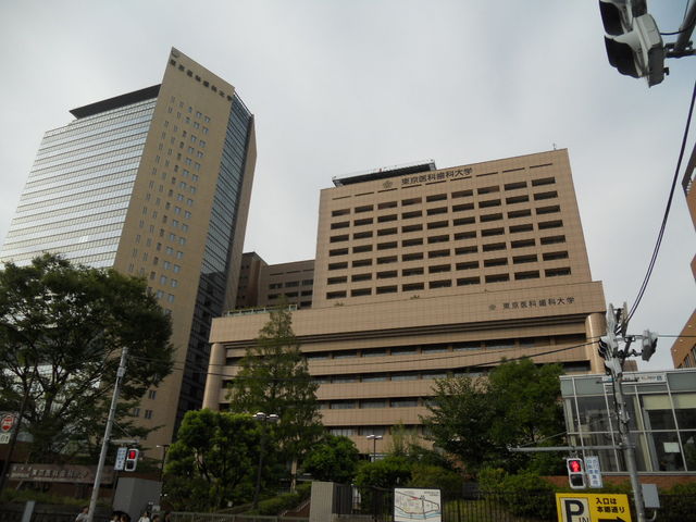 񂳂̓Ȏȑwg H̓eʐ^1