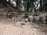 [񂳂̍jՁ@ZRՂ̓eʐ^2