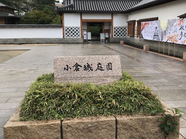 ��̂���뉀_���q��뉀