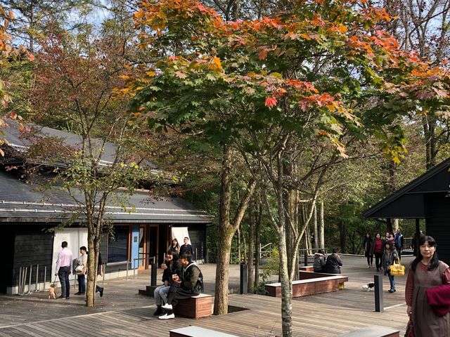 eX̃EbhfbL_y򐯖GA@njeX