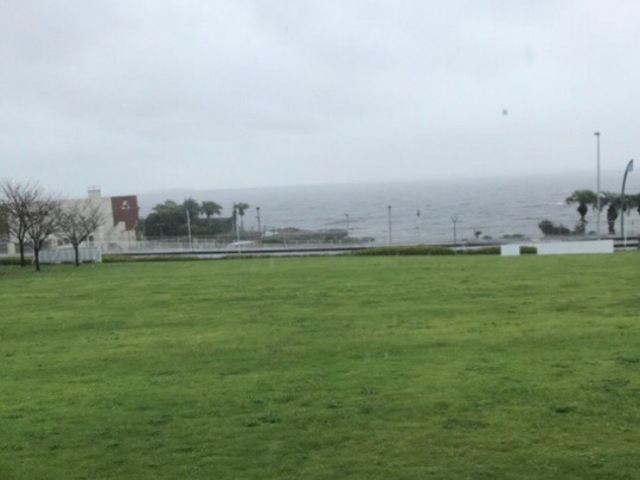 �O��_���{����p��