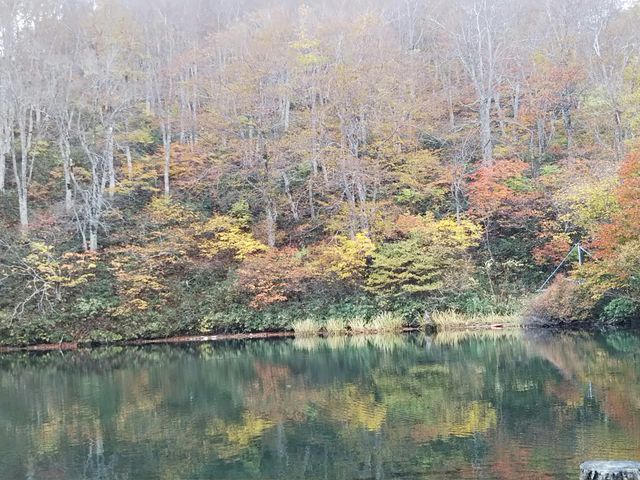 �g�t_�h�b�R��