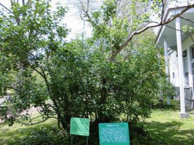 �D�y�ŌẪ��C���b�N�ł��B_�k�C����w�A����