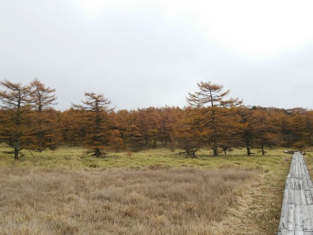 �������ؓ�_�r�̕�����