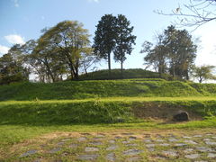 񂳂̎j՗_RÕւ̓eʐ^1