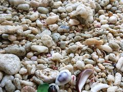 ߂߂feelokinawaւ̓eʐ^3