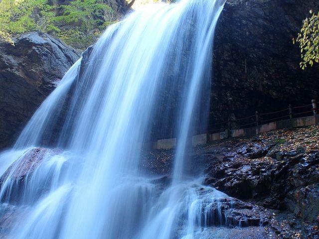 �����đ傫���͂Ȃ��̂ł������ʂ̂����ł�_����