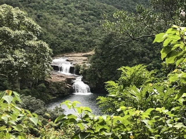 �����������܂�_�}�����h�D�̑�