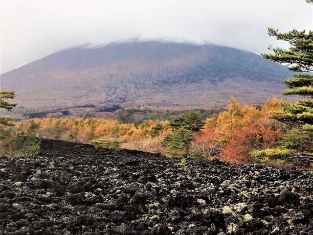 ܂񂳂̏đo◬ώ@H̓eʐ^1