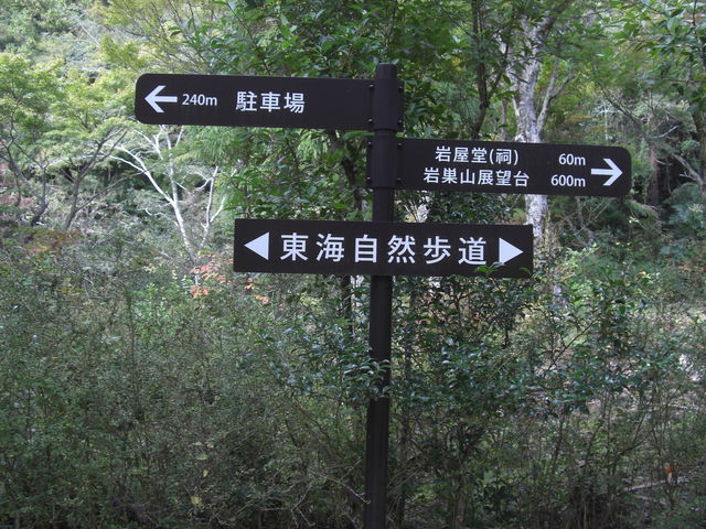 ߂ڂڂ̓CRiR?j̓eʐ^1