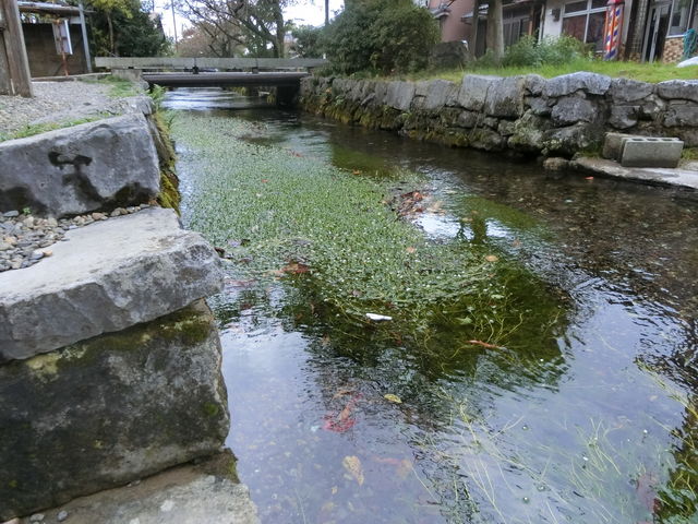 ����E�n����̔~�ԑ�