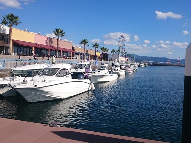 2018{[gQ[tBVO_Lω}[i