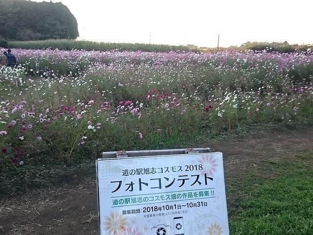 ���ԏꗠ�ɂ���R�X���X��_���̉w ���u ���u���ӂꂠ���Z���^�[