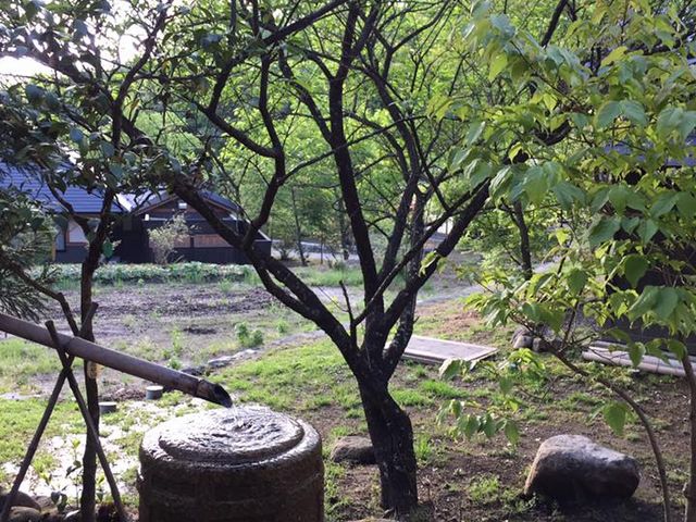 �~�n���̂���̉摜_�݂�܃_�C�j���O��