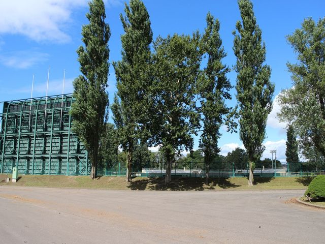 ���ꗠ�|�v������_��̐�^������