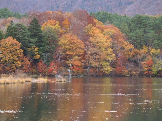 沼2_観音沼森林公園