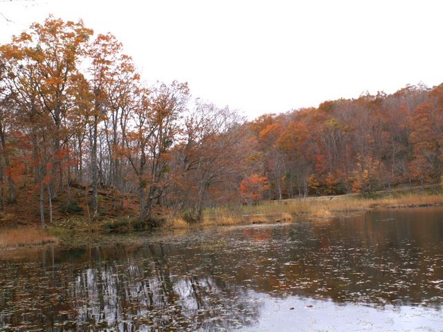 沼4_観音沼森林公園