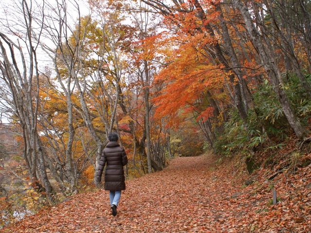 沼5_観音沼森林公園