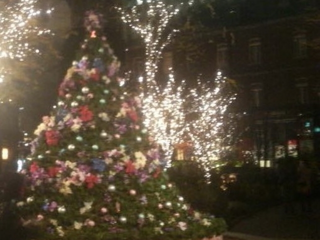 �~�ɂ͔��p�ق̒���ŃC���~�l�[�V�������Â���邱�Ƃ�����A����������ꂢ�ł��B_�O�H�ꍆ�ٔ��p��