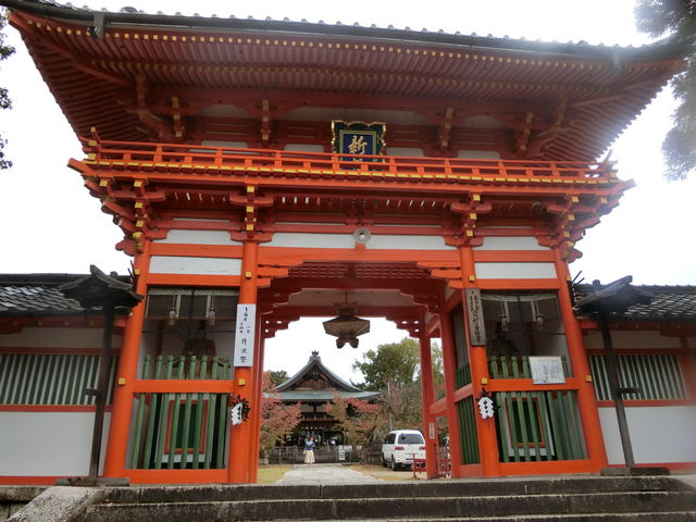 �V���g�_�{