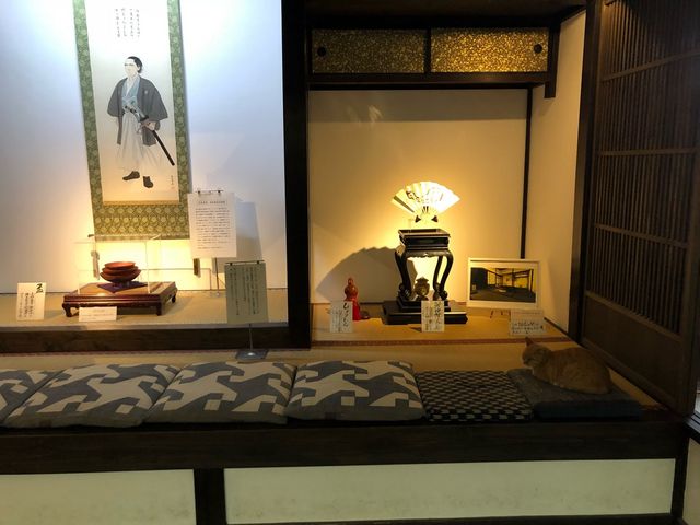 ���l���g�L�O��4�i���C�M�ƎR���e���̉�̊Ԃ̍Č��R�[�i�[�j�E���̍��z�c�ɒ��F�̔L�������Ă��܂����B_�󕟎��@���l���g�L�O��