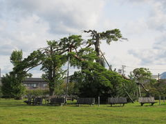 新発田城址公園の口コミ一覧 じゃらんnet