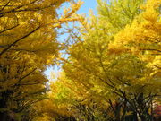 yosshy̖kC`E؂̓eʐ^2