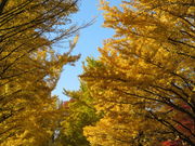 yosshy̖kC`E؂̓eʐ^3