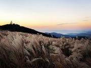 �J�I��������̐��΍����̓��e�ʐ^1