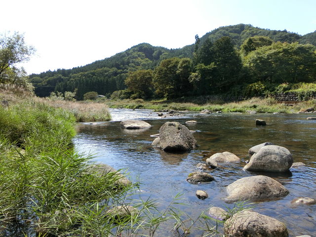 TCĝ΂ɂ͐삪_ߐ{͂I[gLv