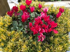 ͂̔_K[f Rr_ւ̓eʐ^1