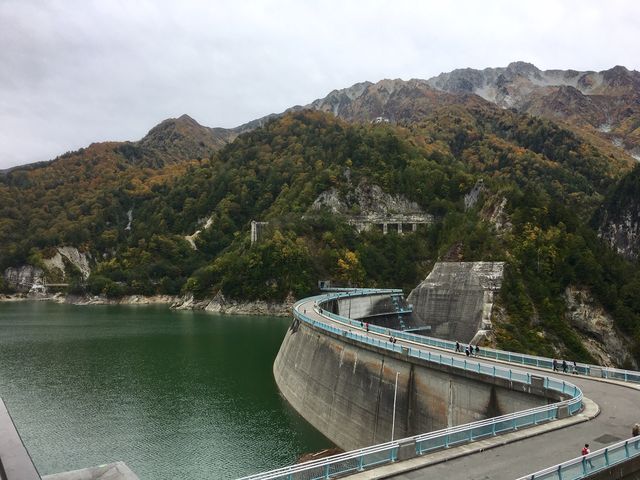 �����_�����X�g�n�E�X�̓W�]�䂩��B_������