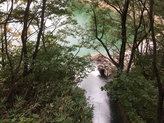 �A_������