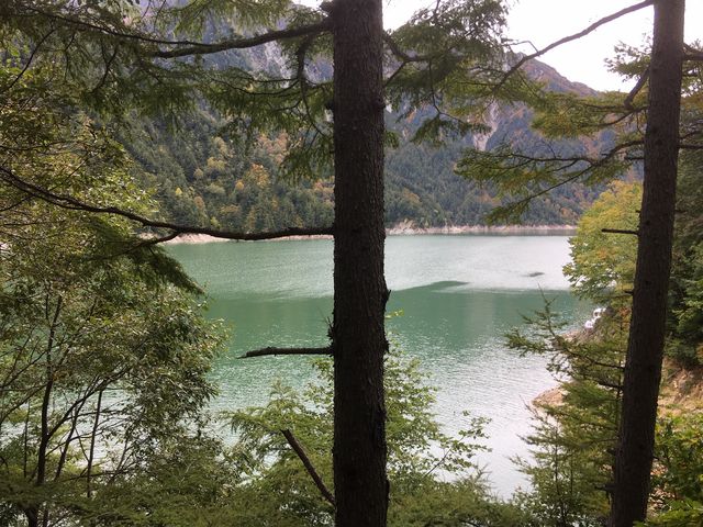 �B_������