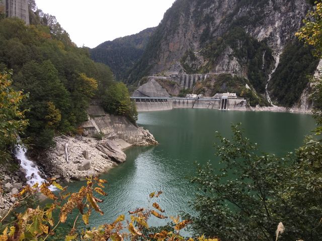 �C_������