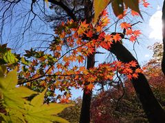 �����������I����̌��̐΂��݂������ւ̓��e�ʐ^1