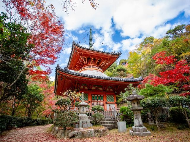 三 滝寺 バス