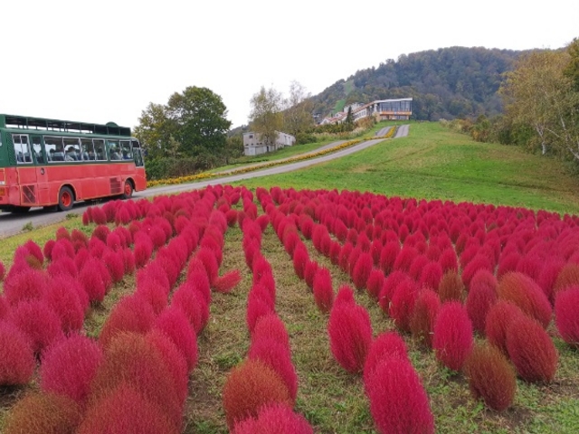 �A���v�̗��i�ʐ^�������̌����j�܂Ŗ����o�X���o�Ă܂��B_���򍂌��X�L�[��