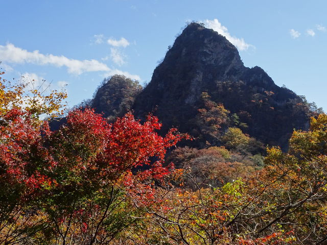 �H�̖��`�R_���`�R