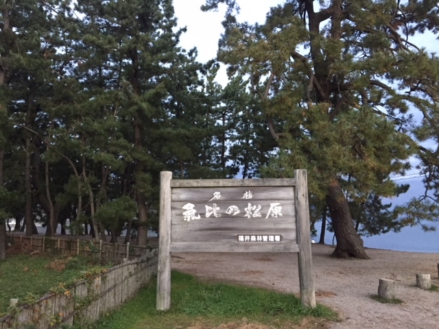 �����������ł��B_�C��̏���