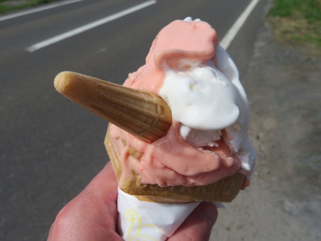 ڂ͂ႮłA͐I__@Ƃ܂Ƃ₳